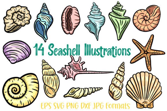 14 Seashell Shells Clipart Illustration: A Versatile Design Resource for Creative Projects