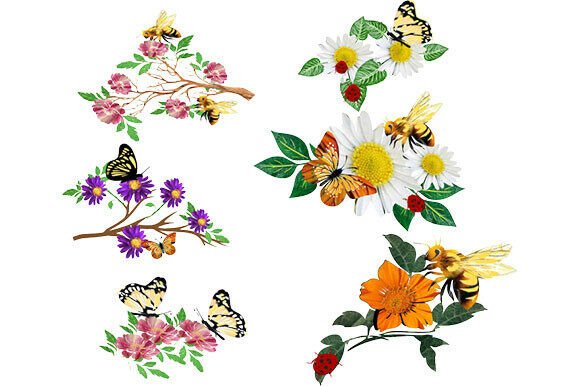 A Set of Ladybug, Butterfly and Bees on Your Property: A Practical Guide to Beneficial Insects