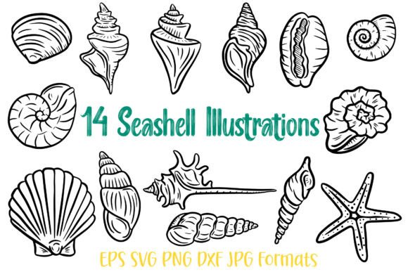 Using the 14 Seashell Shell Illustration SVG Logo Set in Your Creative Workflow
